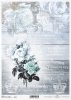 retro, vintage, kwiat, róża, róże, bukiet, napisy w stylu retro, deska, deski, królewskie insygnia, korona, R732, flower, rose, bouquet, retro lettering, board, boards, royal insignia, crown, Blume, Rose, Strauß, Retro-Schriftzug, Tafel, Tafeln, königlich